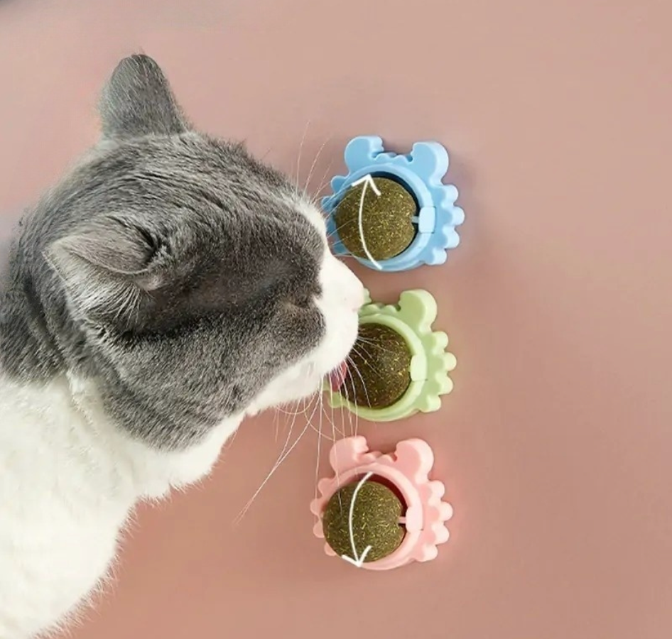 PurrfectCatnipTreats: Snack Saludable