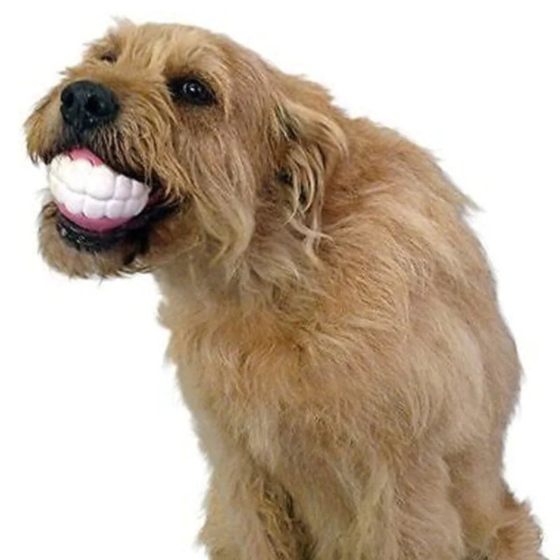 WoofWaggerBall: Pelota Dientes