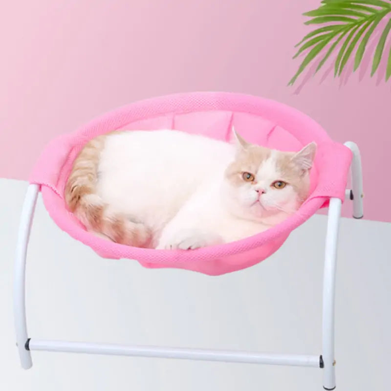 KittyHammock: Hamaca Gatitos