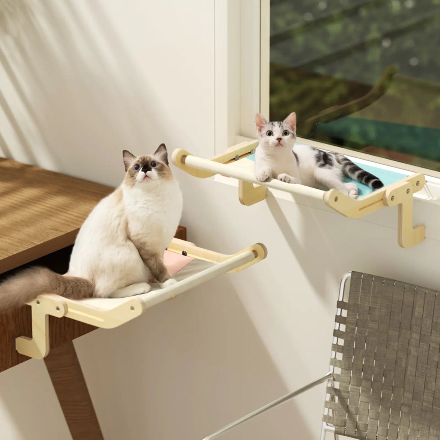 Kitty Platform: Camita Ventana